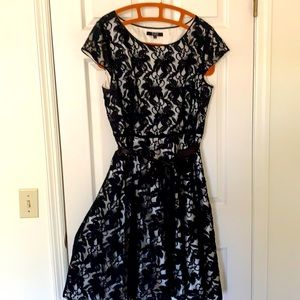 Lace Overlay Cocktail Dress
